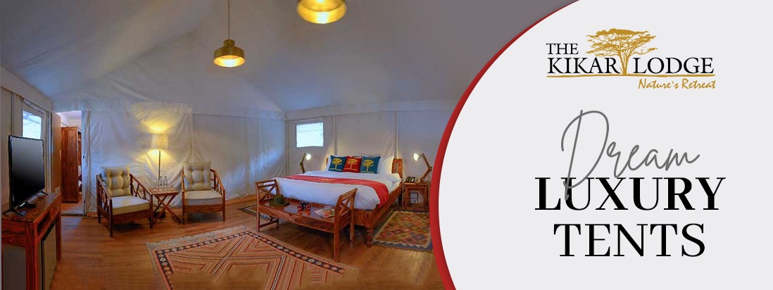 Dream Luxury Tents – The Kikar Lodge
